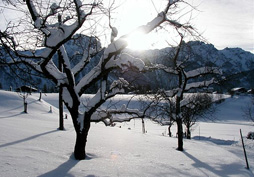 Winterlandschaft in Abtenau